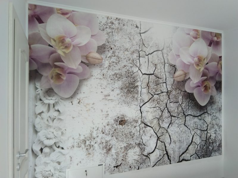 montaj-fototapet-timisoara-orchid